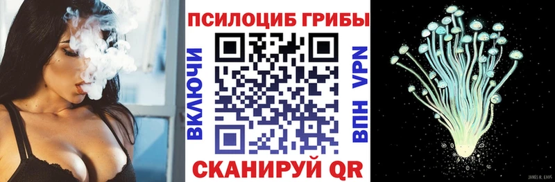 Купить где  Озёры  Псилоцибиновые грибы Psilocybe 